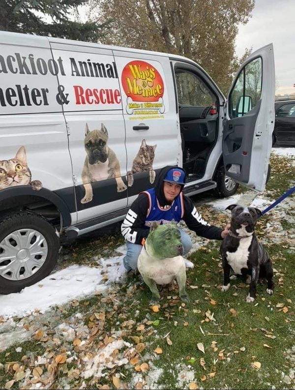 Blackfoot Animal Shelter & Rescue Animal, Rescue